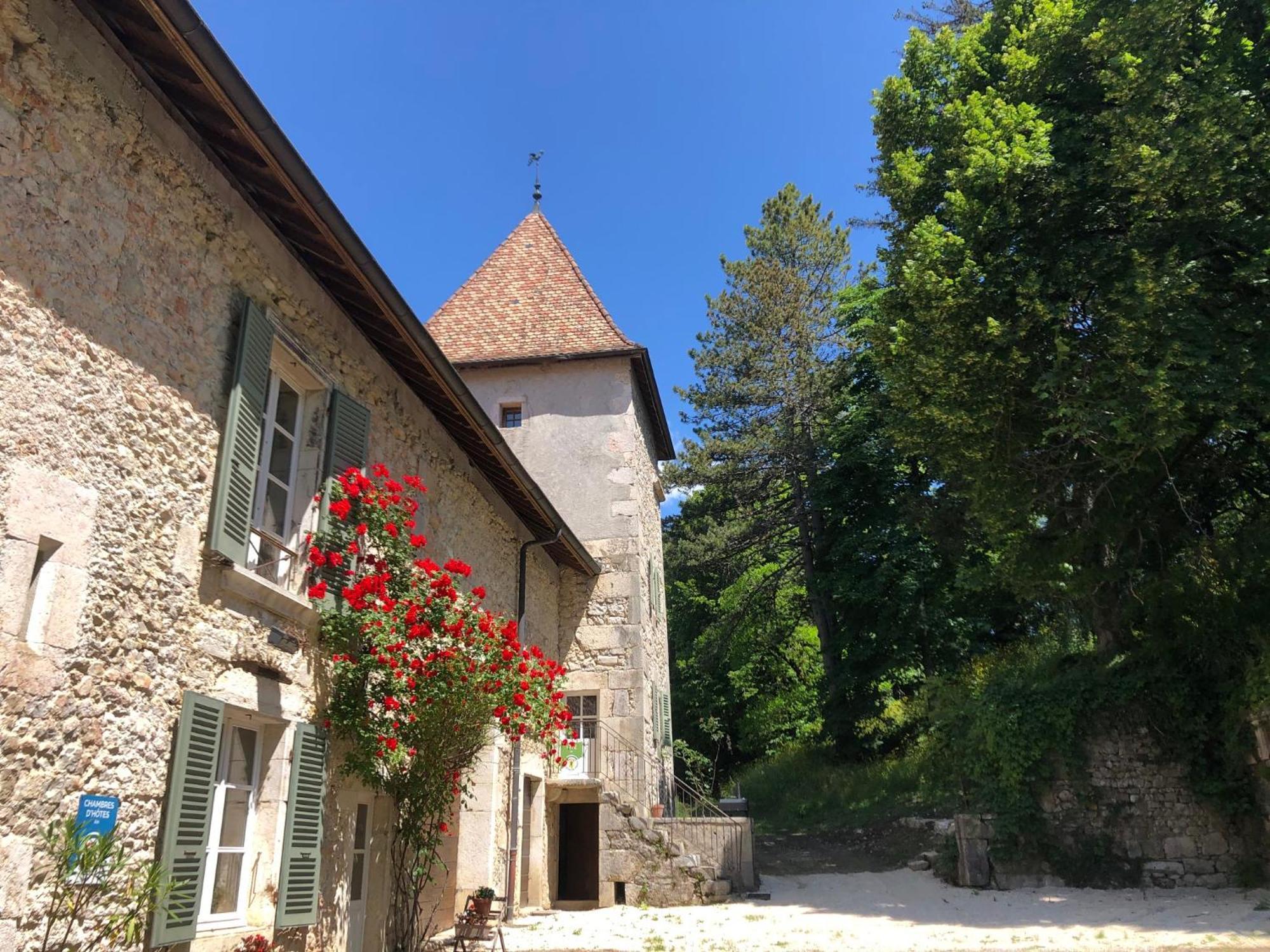 Domaine Du Tres-Haut - Chateau De Montanges Luaran gambar